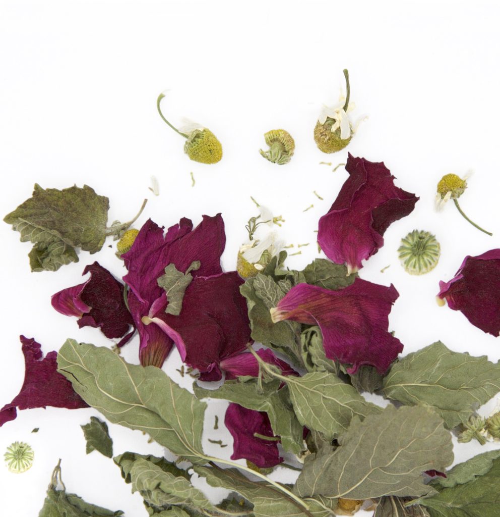Pétale de rose sauvage, mélisse et camomille