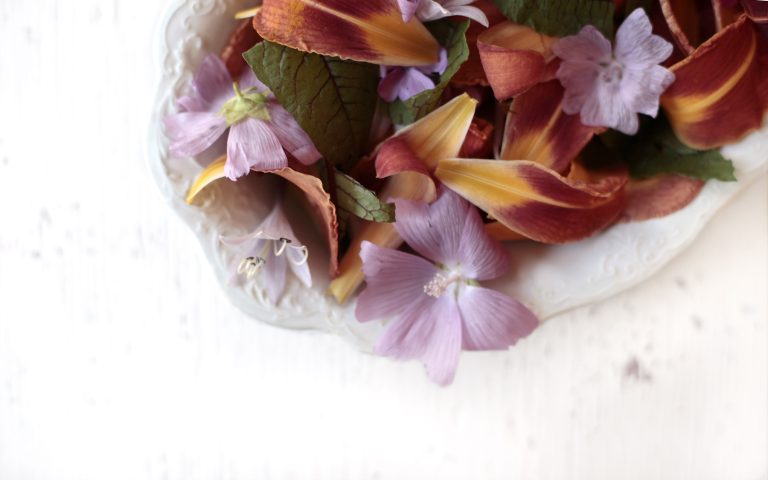 Manger des fleurs
