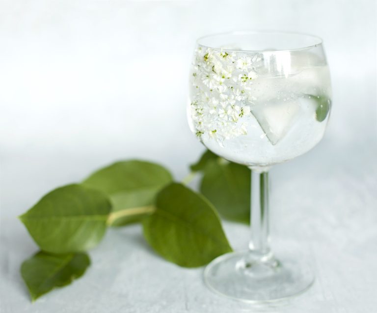 Cocktail sans alcool au sirop de fleur de sureau