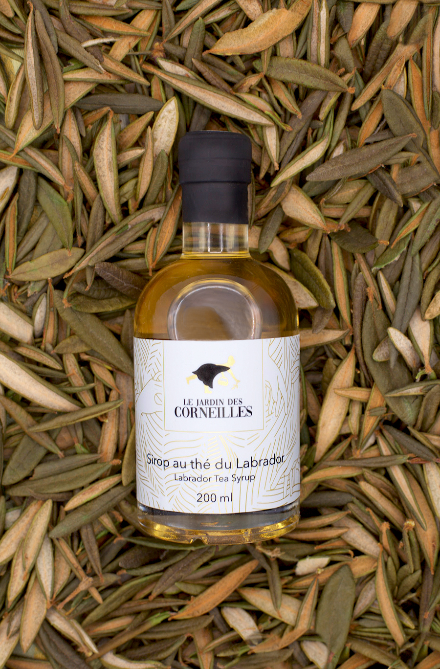 Sirop au thé du Labrador